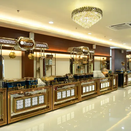 Hotel Blueivy Anand