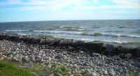 Lakeshore Suites