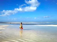Nest Style Beach Hotel Zanzibar - de playa