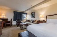 Evergreen Lodge at Vail - Pet friendly