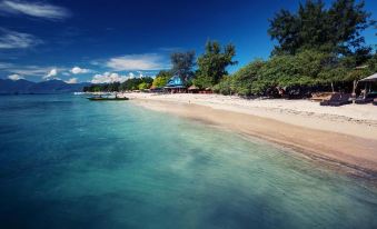 PinkCoco Gili Trawangan - Constant Surprises - for Cool Adults Only