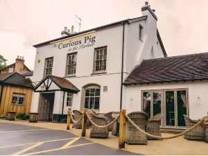 The Curious Pig in the Parlour