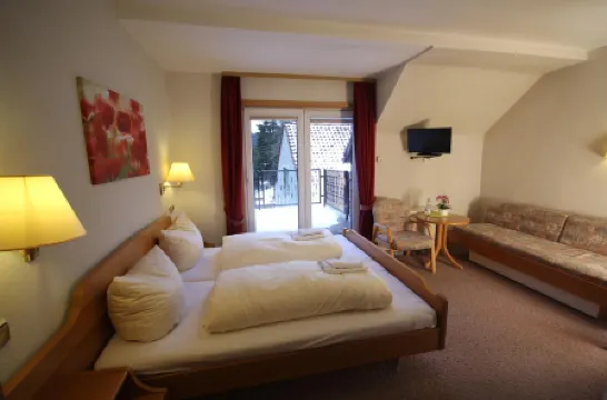 德魯伊登斯泰恩酒店及餐廳