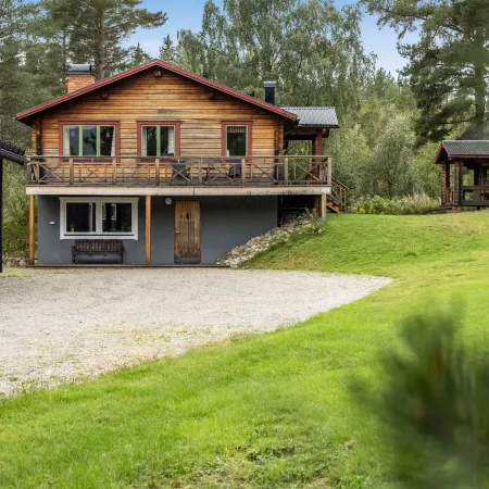 Kvisthån Tallen