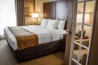 Comfort Suites Near Seaworld