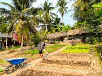 Coco land homestay Hotels in Châu Thành District