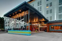 Aloft Raleigh-Durham Airport Brier Creek - bar