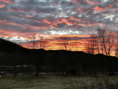 Cozy apartment that’s conveniently located just on the edge of town. 蒙哥馬利酒店