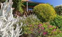 Amazing Ocean View and Close to the Best Beaches Hotel dekat Kohala Mountain Range
