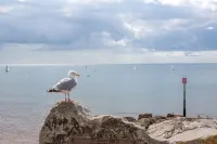 House, Attractive Views Of The Byes, Family and Pet Friendly