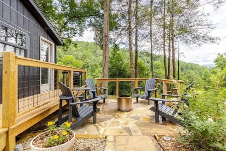 Modern cabin retreat with serene outdoor oasis