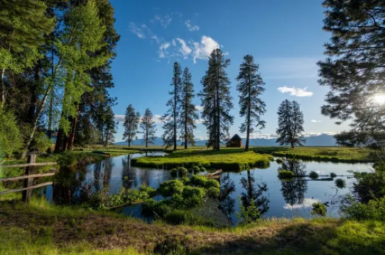 The Cabin on Crooked Creek