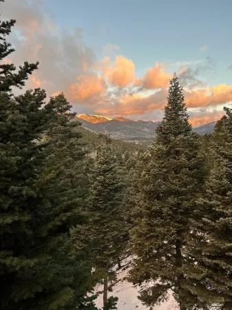 NEW - A Place for Rest!