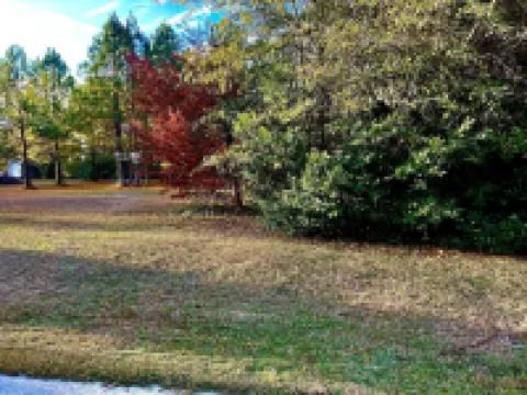 We Love Short & Long Term