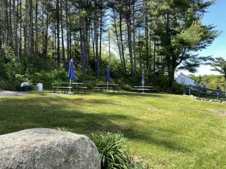 Brand New! Studio B: Sleeps 4, Walk to beach/town, seasonal pools, kitchenette Отели рядом с достопримечательностью «Футбридж Бич»