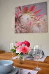 The Blush 1 - Style in the vines