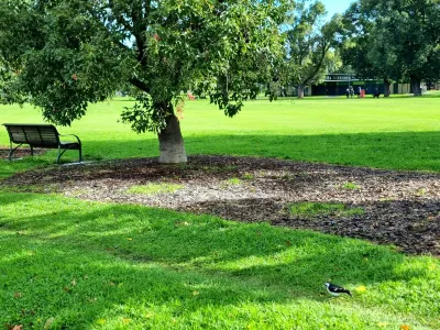 Beautiful Edinburgh Gardens as your back yard! Hotels near A Clockwork Café