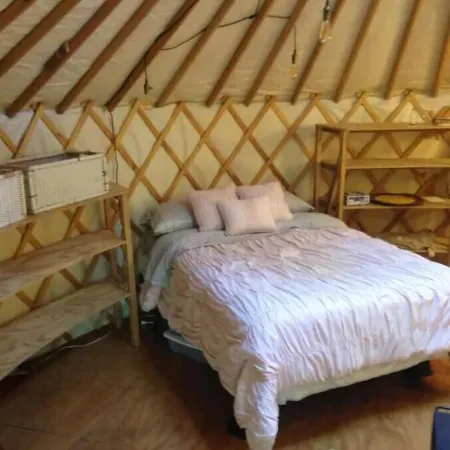 Fiddlehead Farm Yurt