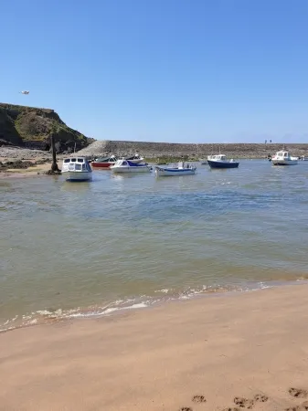 Large 3 bed bungalow set in Woodland grounds near Tamar lakes and local beaches