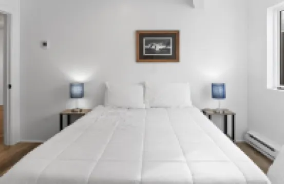 THE ICONIC Vail Ski Dome with Amazing Views, New remodel. Free Parking at Vail