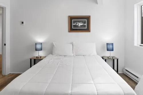 THE ICONIC Vail Ski Dome with Amazing Views, New remodel. Free Parking at Vail