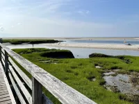 Spacious, Dog Friendly, 3-Bedroom Centrally Located to the Best of Cape Cod!