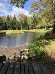 A perfect, quiet baseball rental in the woods near Cooperstown, NY