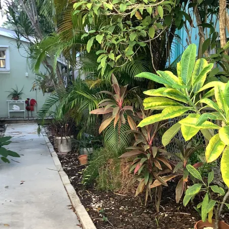 Uptown quiet cottage close to beaches, restaurant & shopping.