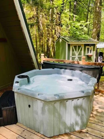 Olympic A-Frame - Close to Olympic NP, lake access