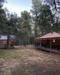 Cozy, quiet picturesque cabin in the pines & perfect escape to winter wonderland