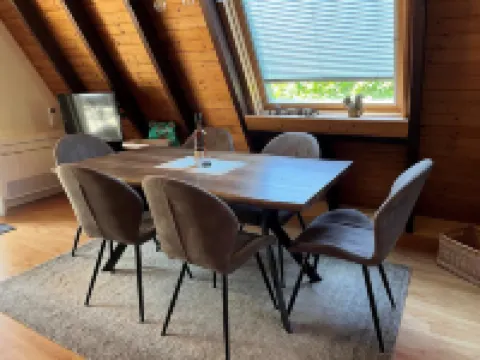 Eichhörnchen-in der Natur Zuhause-fass-sauna im Garten