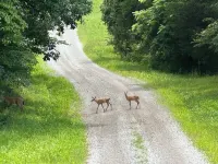 Secluded log cabin in the Shawnee national Forest