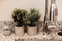 Cozy 1-bedroom Modern Apartment: Central to Raleigh, Durham, Chapel Hill