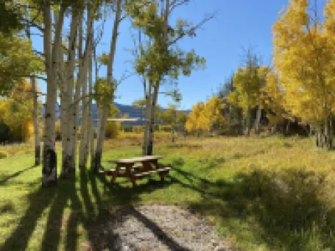 Cozy, secluded home close to everything. 15 min to town and skiing.