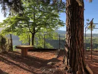 Country cottage Hotel dekat Lago di Corbara