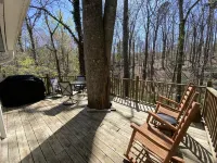 Cozy historic cottage in the woods. 10 minute walk to town - Homestays