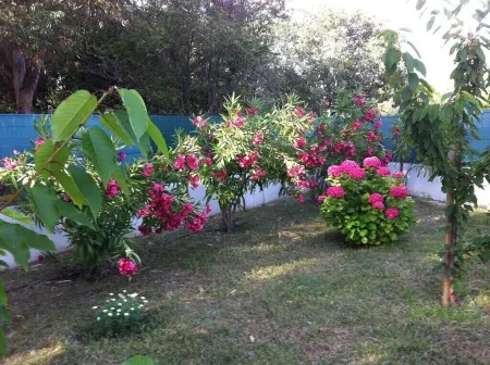 APARTMENT 300M FROM THE BEACH (ON FOOT)