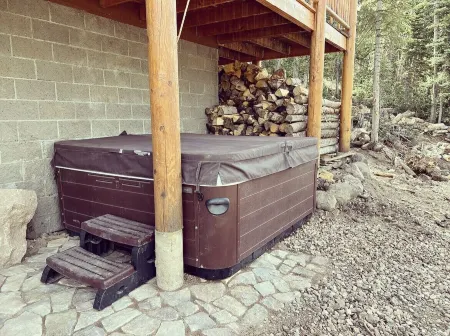 Authentic Log Cabin with Luxuries