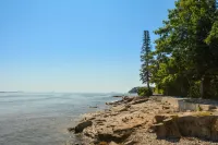 Cozy Dog Friendly House with Deck, Firepit & Fast WiFi in Heart of Bar Harbor