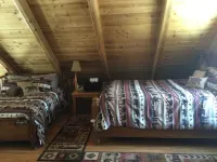 Small log cabin in the woods