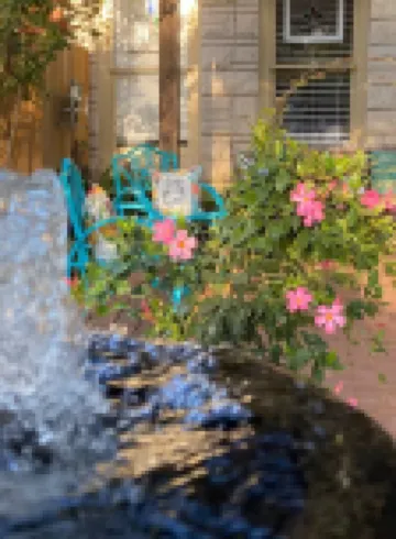 Charming bungalow near downtown Round Rock! High speed Wi-Fi!