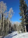 New Custom Log Condo Centrally Located in The Serene Mountains Of Brian Head.