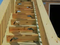 Great Deal Due to Cancellation.  Save 30% for Either One or Both Weeks July 5-19 Hotels in Frisco