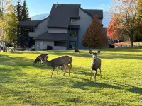 Family-size 5-bedroom condo in Eden, Utah minutes from 2 world-class ski resorts