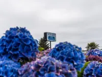 Blue Coast Inn & Suites Hotels in Curry County