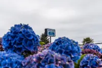 Blue Coast Inn & Suites Hotels in Brookings