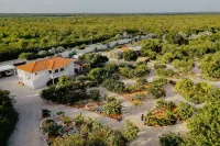 Le Soleil d'Or CaymanBrac