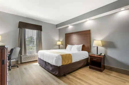 Quality Inn Oak Ridge