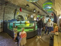 Lodge in Callantsoog Near North Sea Beach