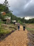 Hajk Österlen Hotels in Brosarp